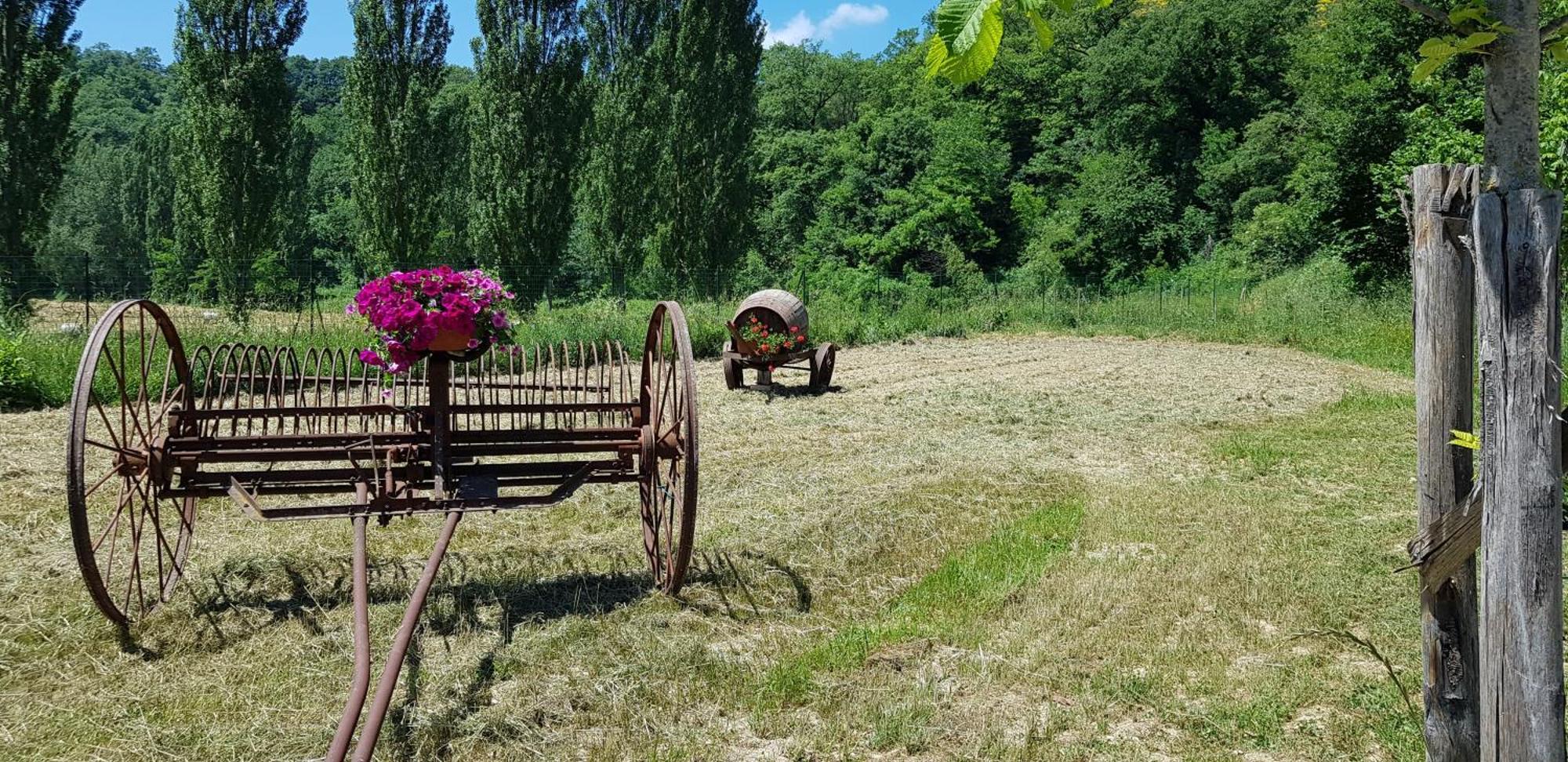 Il Ciottone Villa Nocera Umbra Dış mekan fotoğraf